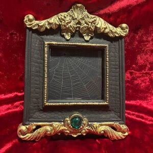 Gothic framed spiderweb